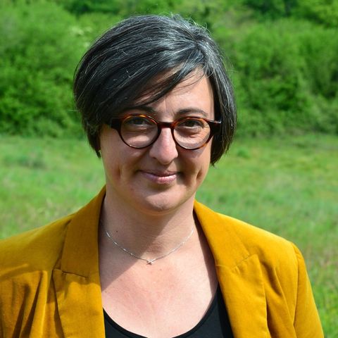 Photo Amandine PAINSET